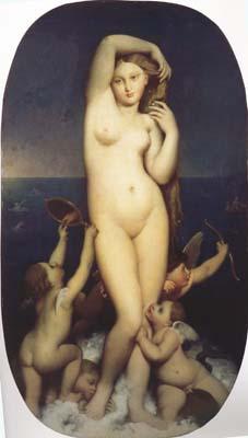 Jean Auguste Dominique Ingres The Birth of Venus (mk04) Germany oil painting art
